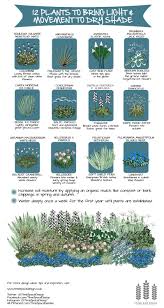 12 Plants To Bring Movement And Light To Dry Shade Time And Space Shade Garden Plants Shade Plants Plants
