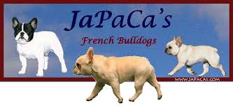 We only adopt to residents of the washington metropolitan area, which includes washington, d.c., and parts of northern virginia and maryland. Japaca S French Bulldogs Love Is A French Bulldog