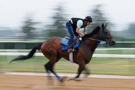 Jun 2, 2021 france go de ina posts final work for g1 belmont stakes presented by nyra bets Enzzvnfmhxucem