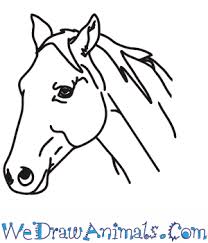 How To Draw A Horse Head Horse coloring pages cartoon horse outline baby horse cartoon cartoon horse clip art free black horse head drawing cute easy to draw horses draft horse cartoon horse drawing steps horse child drawing animal drawings easy horse guy on horse drawing fun cartoon horse.