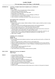Lot attendants work for motor vehicle dealerships where they receive, move, arrange and maintain the appearance of vehicles, and ensure the orderliness of the vehicle lot. Parking Lot Attendant Resume Samples Velvet Jobs