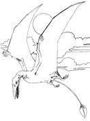 It was a member of the azhdarchidae, a family of advanced toothless pterosaurs with unusually long, stiffened necks. Quetzalcoatlus Pterosaur Coloring Pages Dinosaurs Coloring Pages Coloring Pages For Kids And Adults