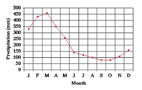 The Great Graph Match Basic Version