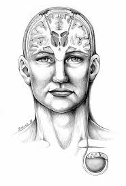Brustkrebsfrüherkennung per hochsensiblem Tastsinn