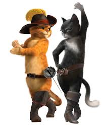 Le Chat Potte Le Chat Potte Image 31 Sur 56 Chat Potte Le Maitre Chat Chat Botte