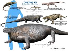 Image result for Casearia runssorica