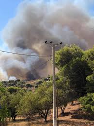Η φωτιά φαίνεται να απειλεί τα πρώτα σπίτια στην κερατέα, ενώ οι άνεμοι που πνέουν στην περιοχή είναι ισχυροί το 112 έστειλε ήδη μήνυμα για εκκένωση από το μαρκάτι κερατέας προς το λαύριο. Vnrgn0jbo Dusm