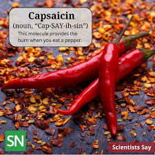 Image result for Capsaicin