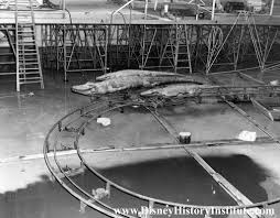 JOURNAL OF A DISNEY HISTORIAN~The Arthritic Alligator Edition