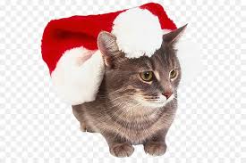 Christmas And New Year Background Png Download 605 589 Free Transparent Cat Png Download Cleanpng Kisspng