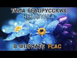 Fm что любить могут одни девчонки. Tima Belorusskih Nezabudka Hq Flac Download Youtube Pesni Muzyka Koncert
