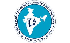 IAP Logo