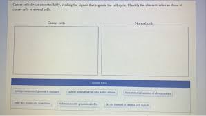 (1) genetic instability (2) immortalization (3) aberrant growth control and (4) tumorigenicity. Solved Sequence The Events That Occur During Metastasis Chegg Com