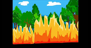 Gambar alam burung bunga imut margasatwa liar kebun. Halaman Download 20 Gambar Poster Kartun Kebakaran Hutan Pemaju Hartanah Scla