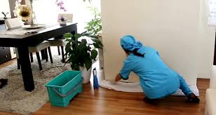 Pirilti Koltuk Ve Stor Perde Tavsanli