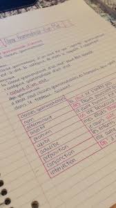 Studying For French Study Notes School Organization Notes Handwriting Examples