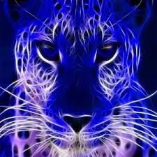 Neon Animals Wild Cats Cheetah Wallpaper Lion Wallpaper