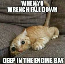 Pin By Valley Boy On Car Jokes Car Memes Funny Animal Jokes Funny Animal Memes Funny Animals