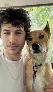 260 Wallows ideas in 2025