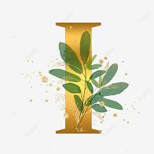 Maybe you would like to learn more about one of these? Gambar Pernikahan Emas Cabang Leaf English Letter Pernikahan Cabang Emas Daun Daun Png Transparan Clipart Dan File Psd Untuk Unduh Gratis