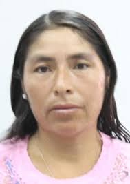 Antecedentes de Otorongos Elecciones 2022