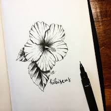 Flower Art Botanical Drawing Floral Illustration Hibiscus Art Line Art Ink Drawing Flower Art Flower Art Drawing Art Sketches