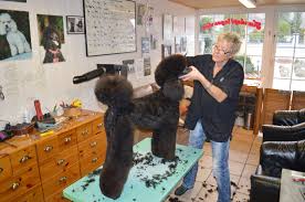 Hundepflegesalon Karin Kissmann