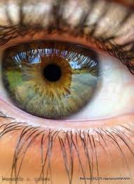 Eye Photography Beautiful Brown 29 Trendy Ideas Eye Photography Cool Eyes Beautiful Eyes Color