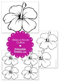 Printable Hibiscus Flower Outline Flower Outline Hibiscus Luau Theme Many hybrid varieties of hibiscus have been introduced and developed locally in hawaii.