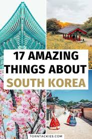 17 Things I Love About Living In South Korea The Pros Torn Tackies Travel Blog Asia Travel Korea Travel South Korea Travel