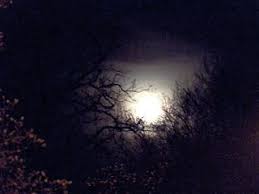 No need to register, buy now! Vollmond 4teachers Suchergebnisse Seite 1