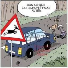 Du willst genauso stolz und zufrieden aus der prüfung kommen? 12 Fuhrerscheinprufung Ideen Lustige Bilder Lustige Cartoons Lustig