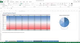 Annual Expense Report Conditional Text Pie Chart Excel