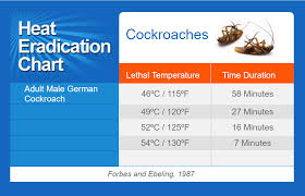 Cockroaches Thermapure