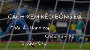 Có tỉ lệ theo châu á, châu âu theo dõi trực tiếp các giải đấu bóng đá, các kết quả bóng đá cũng được nhanh chóng cập nhật. Cach Xem Keo Bong Ä'a Ä'á»ƒ Ca Ä'á»™ Chi Tiáº¿t Va Dá»… Hiá»ƒu Sieubet