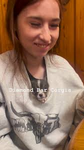 Diamond Bar Auggies and Corgi's