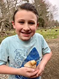 Timberdoodle Hollow Eggs