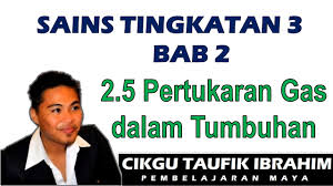 Pertumbuhan analisa plot pertumbuhan manusia bab 1 bab 7 bab 4 respirasi pembiakan perkumuhan bab 6 tanah & sumbernya memahami. Sains Tingkatan 3 Kssm I Bab 2 Respirasi I 2 5 Pertukaran Gas Dalam Tumbuhan Youtube