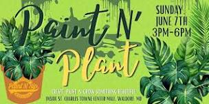 Paint N Plant