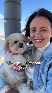 Mom How Much Did I Cost Pet Store