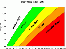 Track Your Weight In Metric Or Imperial Punctual Weight