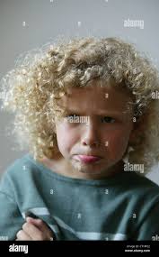 Shrewish hi-res stock photography and images