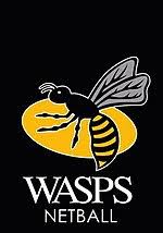 The netball superleague is a top level netball league featuring teams from the united kingdom. Wasps Netball Wikipedia