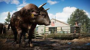 Ubisoft entertainment & family languages: Far Cry 5 Gold Edition Kaufen Farcryv Key Mmoga