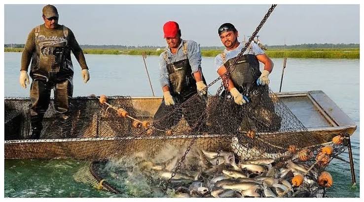 Monsoon Fishing Ban Imposed In Palghar From June 1 To July 31, 2026