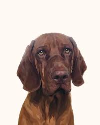 Profile for House of Clark Illustrations