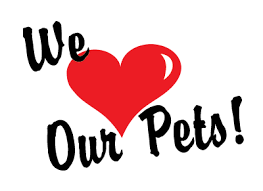 We did not find results for: Sliding Glass Pet Door Utah Doggy Door For Sliding Doors