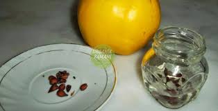 Ayva Cekirdegi Maskesi Ile Kirisiklik Ve Lekelere Son Organik Zamani Skin Mask Halloween Wrinkles Skin Mask