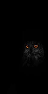 Mennyfox55 Owl Artwork Cute Owls Wallpaper Owl Wallpaper Iphone