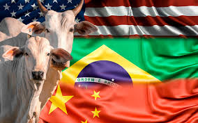 PECUÁRIA BRASIL: China suspende importação de 390 frigoríficos dos EUA;  compra de mais carne brasileira pode afetar mercado interno - Confederação  Nacional de Agricultores Familiares e Empreendedores Familiares Rurais